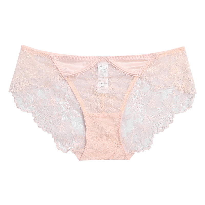 Sexy Mid-rise Pure Lust Mesh Breathable Lace Panties