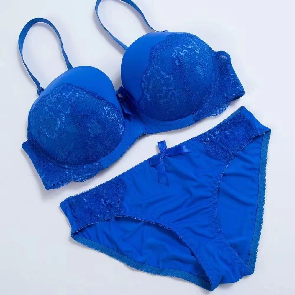 Sensual Romance Embroidered Lace Bra Set