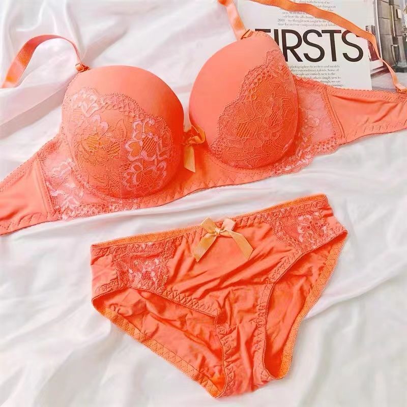Sensual Romance Embroidered Lace Bra Set