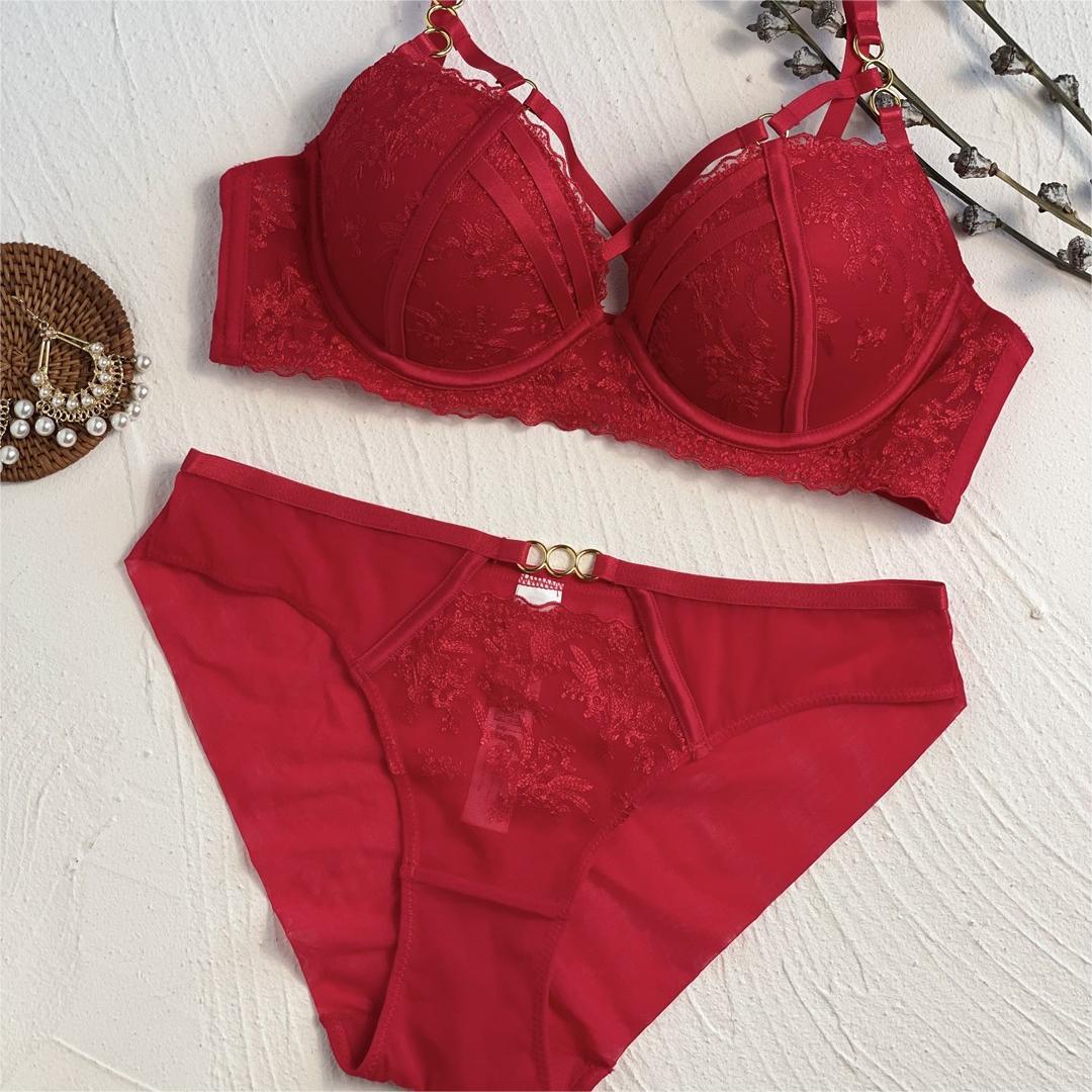 French Style Embroidered Lace Push-up Bra Set