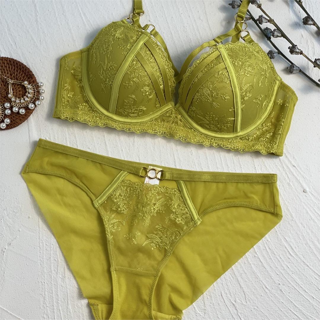 French Style Embroidered Lace Push-up Bra Set