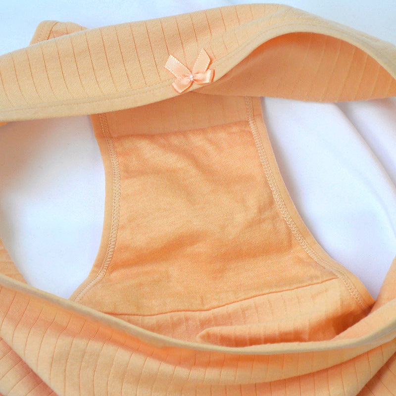 Plus Size High Waisted Cotton Triangle Panties