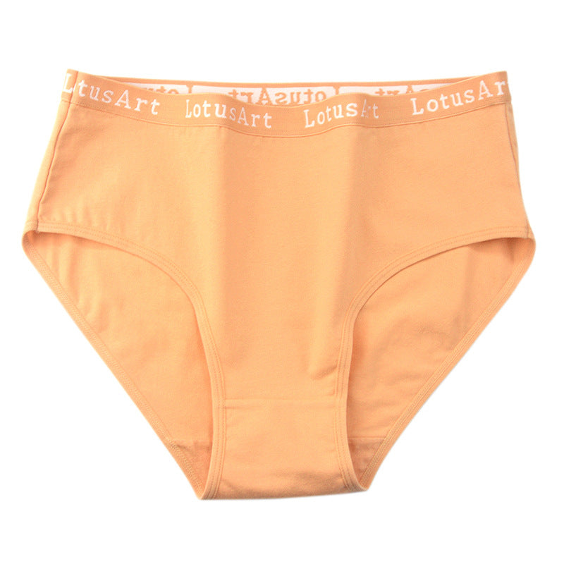 Large Size Cotton Medium High Waisted Triangle Panties