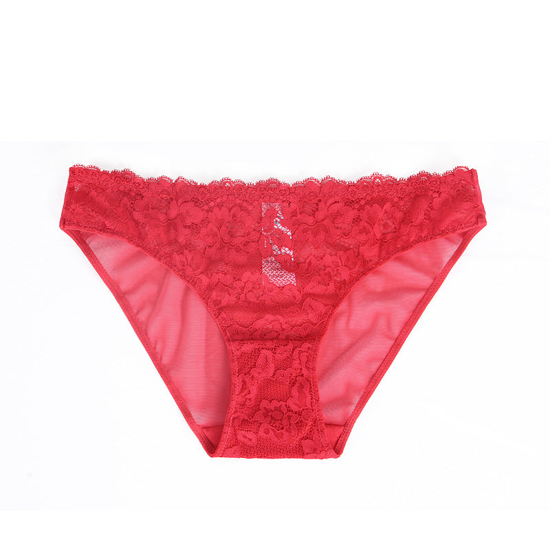 Sexy Hollow Out Lace Sheer Mesh Floral Panties