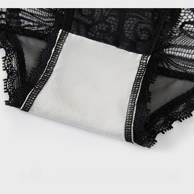Sexy Lace Mid-rise Mesh Panties